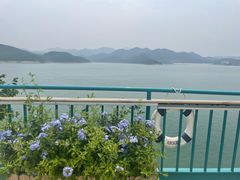 -望湖烤鱼