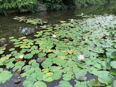 -白马涧龙池景区