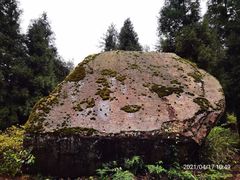 -重庆睡佛山森林公园
