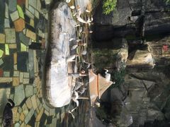 iphone_upload_pic-百鸟园