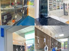 -派美特宠物医院·核磁CT·骨科肿瘤·疑难转诊(沈农禾丰店)