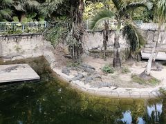 -深圳野生动物园