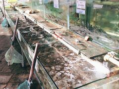 -钱大妈海鲜饭店(保利林语店)