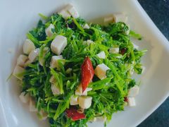 -小杨烤肉(朱雀店)