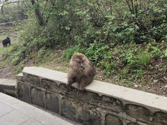 -峨眉山风景名胜区