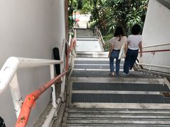 -香港大学