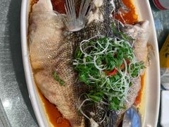 -新雅粤菜馆(南京东路店)