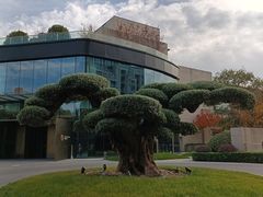 -阿纳迪酒店·秘境西餐厅