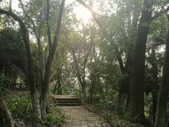 -南京大学-第9食堂