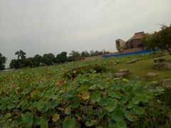 -滆湖低碳生态公园