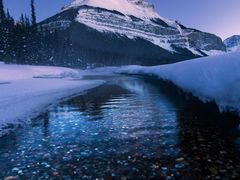 -栖巢咖啡(天鹅湖万达低碳店)