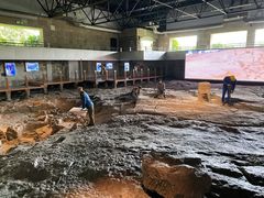 -自贡恐龙博物馆