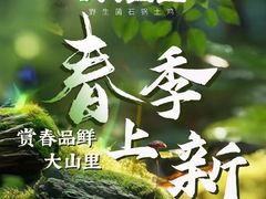 -野·大山里野生菌石锅土鸡(益田假日店)