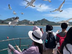 -海驴岛(荣成市)