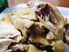 -大树下饭店(春晓镇慈岙社区卫生服务站南)