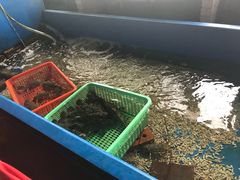 -灯笼馆海鲜餐厅