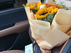 -天猫养车贴膜轻改·蓝电(优匹康桥东路店)