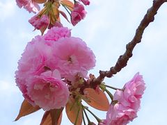 -白塘生态植物园