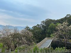 -福道