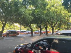 -鹏城驾校·学车·陪驾(景田店)