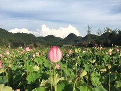 -贵阳蓬莱仙界