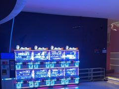 -水之梦(黄浦店)