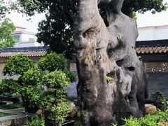 -碧江金楼