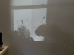 -双风车咖啡馆 Twin Windmills(六道口店)