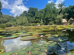 -中国科学院西双版纳热带植物园
