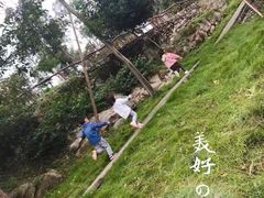 -梦幻奥陶纪景区