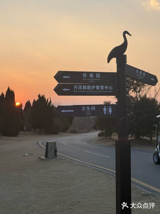 盐城丹顶鹤湿地生态旅游区图片