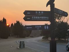 -盐城丹顶鹤湿地生态旅游区