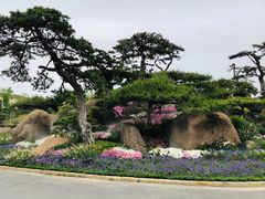 -罗红摄影艺术馆