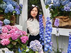 -Blue Concept Cafe&Farm·關於藍