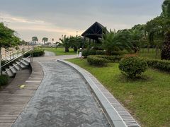 -碧海金沙