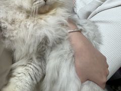 -瑞鹏宠物医院·骨科·猫科·内科(第一中心)