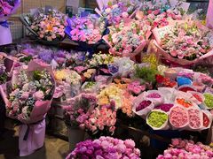 -花鸟鱼虫鲜花绿植市场(玉泉路店)
