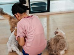 -1013 PET SHOP 宠物商店(近铁城市广场店)