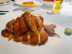 -菉雅苑·湛江菜(前海卓越INTOWN店)