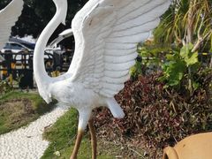 -北海金海湾红树林生态旅游区