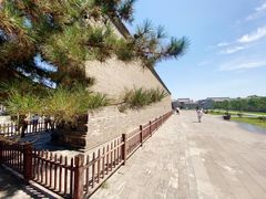 -九龙壁