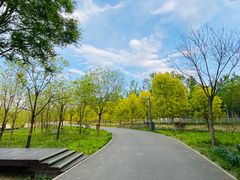 -东郊湿地公园