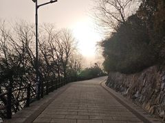 -巢湖姥山岛