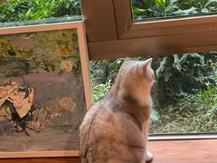 -咖法森林·咖啡  酒吧(天河店)