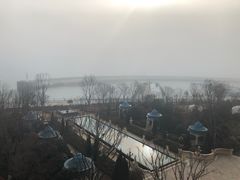 -星光岛
