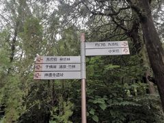 -四门塔风景区