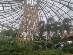 -江门古劳水乡旅游区