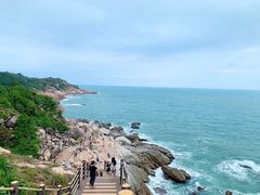 -广东惠东海龟国家级自然保护区