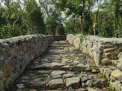 -阳台山自然风景区