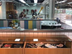 -贝贝宠物乐园(常青花园店)